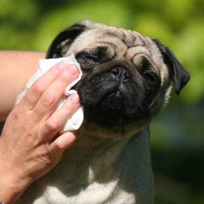 FurLisse - Pet Wipes for Dogs & Cats (Aloe Vera)